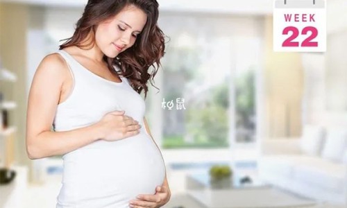仓鼠身上被水打湿网仓鼠身上有跳蚤吗怎么解决知识网站,分享仓鼠身上有虫子大全
