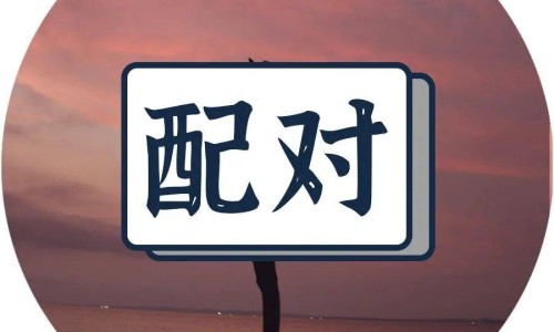 仓鼠身上臭臭的怎么办-仓鼠身上被水打湿网仓鼠身上有跳蚤吗怎么解决知识网站,分享仓鼠身上有虫子大全