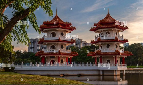 仓鼠身上被水打湿网仓鼠身上有跳蚤吗怎么解决知识网站,分享仓鼠身上有虫子大全
